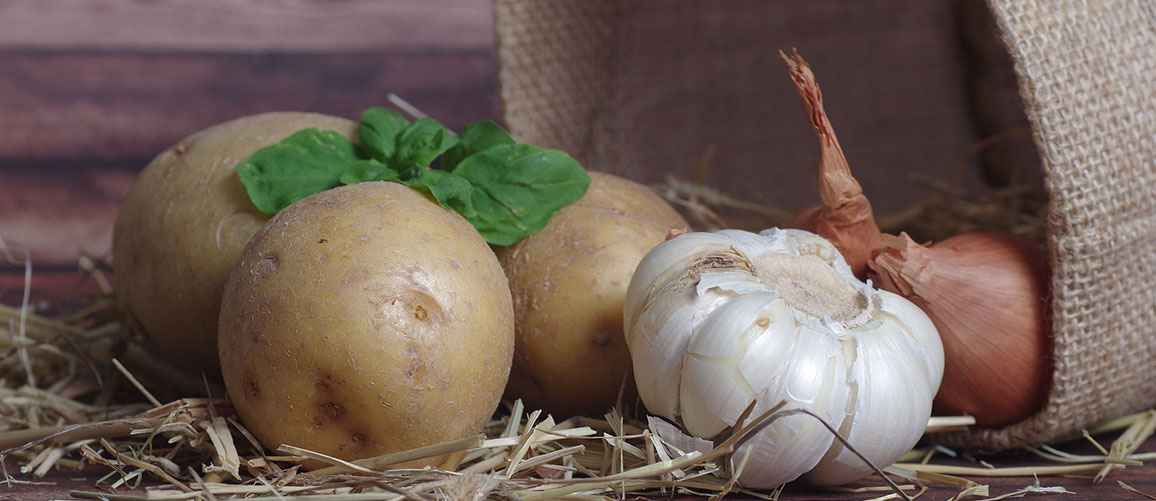 Brambory, cibule a česnek na uskladnění