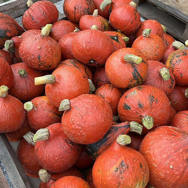 32 Kč/kg